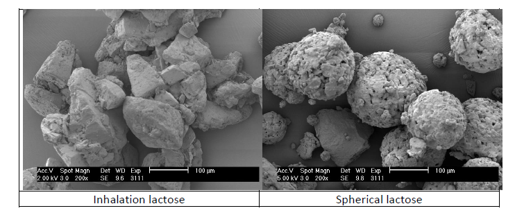 microscopical images of inhalation lactose and spherical lactose with the use of a microsope